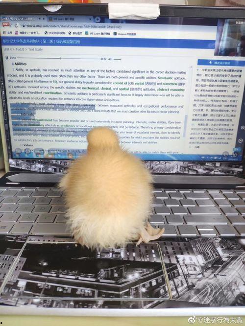 2022娱乐圈吃瓜乱象