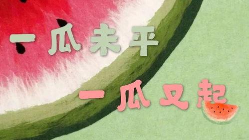 娱乐吃瓜 小故事大全视频,小故事大全视频精选集