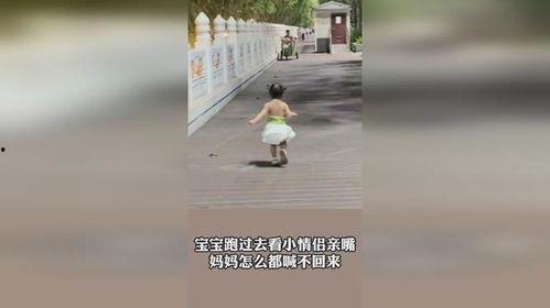 娱乐吃瓜情侣亲吻,娱乐圈情侣深情亲吻，甜蜜画面引网友热议