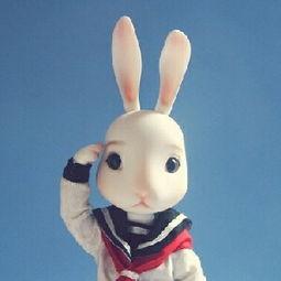 娱乐吃瓜直播间兔子,揭秘娱乐圈幕后吃瓜大揭秘