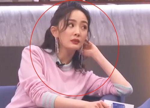 娱乐吃瓜晨晨,娱乐圈新鲜事大揭秘