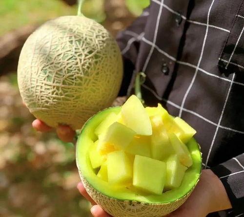 娱乐吃瓜在国外叫什么,国际版“八卦”文化解析