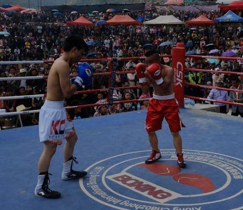 吃瓜娱乐拳击比赛视频播放,吃瓜群众围观精彩拳击比赛视频