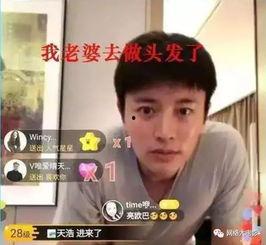 x吃瓜娱乐圈文,x的娱乐圈风云录